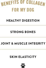 TRURANCH All-Natural Rawhide Free Dog Treats, 5" Sticks (Beef), with Hydrolyzed Collagen 50% Protein, Healthy Treats, Limited Ingredients Dog Chew, for Small, Medium, and Large Dogs